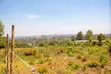 Prime Residential Plots for Sale in Kikuyu, Chungamali - 4