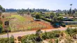 Prime Residential Plots for Sale in Kikuyu, Kerwa - 1