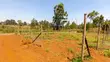 Prime Residential Plots for Sale in Kikuyu, Kerwa - 3
