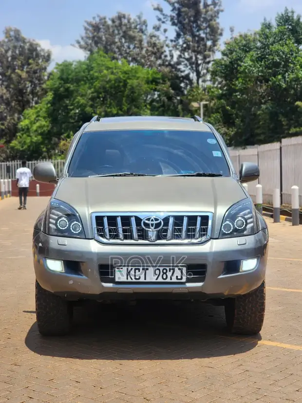Toyota Land Cruiser Prado 3.0 D-4D 2008 Gray - 1