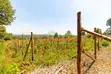Residential Plots for Sale in Kikuyu, Chungamali - 1