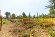 Residential Plots for Sale in Kikuyu, Chungamali - 2