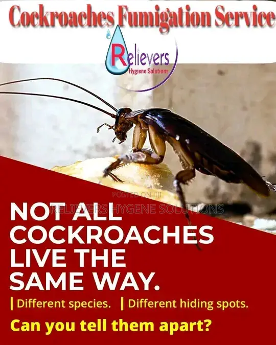 Cockroach Spraying Services by Relievers Hygiene Solutions - 1