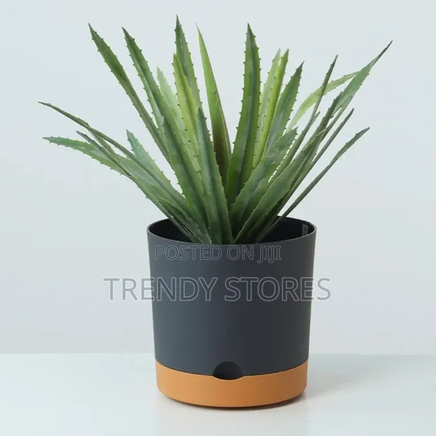 Bottom Watering Pots - Medium Size - 1