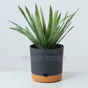 Bottom Watering Pots - Medium Size