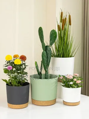 Plastic Flower Pots - Large Size