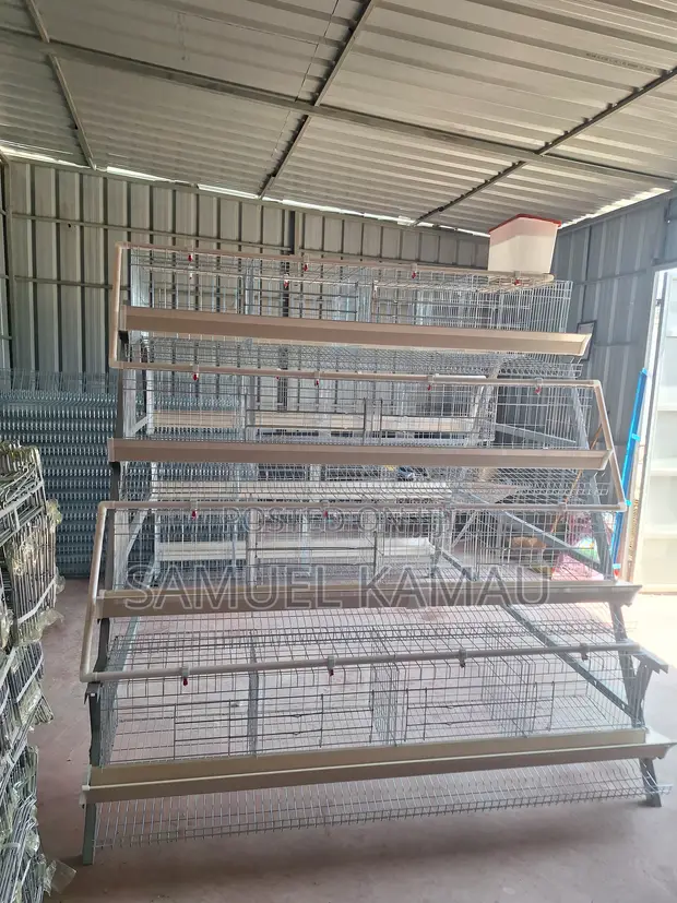 Brand New 3-Tier Chicken Cage - 128 Bird Capacity - 1