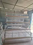 Brand New 3-Tier Chicken Cage - 128 Bird Capacity - 1