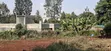 50x100 Plot for Lease in Kabete, Jathaini/Mwimuto, Kiambu - 5
