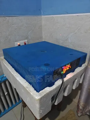 Inkubeta ya Mayai ya Kiotomatiki 64 Iliyotumika