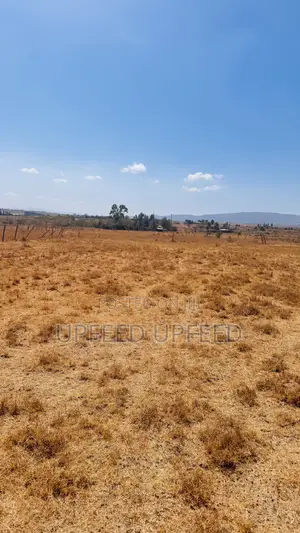 50x100 Plot for Sale in Joska, Ndovoini - Ready Title Deed