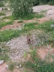 Eka 150 za Kilimo kwa Uuzaji Dakacha, Malindi - 1