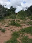 Eka 150 za Kilimo kwa Uuzaji Dakacha, Malindi - 2