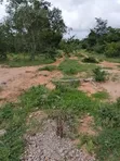 Eka 150 za Kilimo kwa Uuzaji Dakacha, Malindi - 4