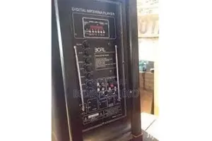 BORL 15'' Public Address Speaker