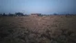 Kiwanja cha Makazi kwa Uuzaji, Gikumari, Ruiru Mashariki - 3