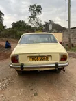 Peugeot 504 1970 Beige - 5