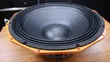 Derwel PD2190 21-Inch Bass Speaker - 2