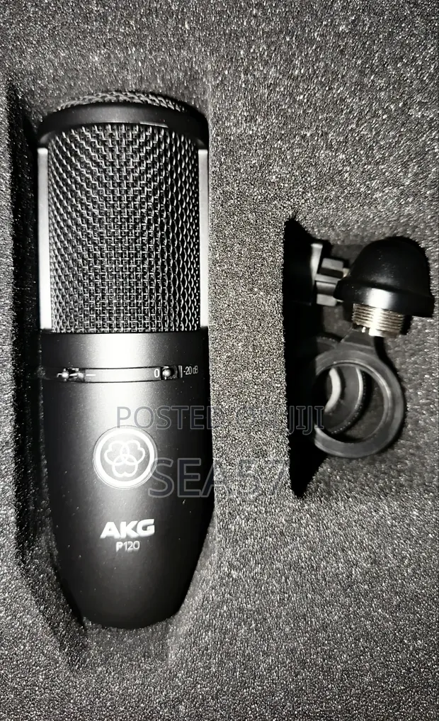 AKG P120 Condenser Microphone + Free Shock Mount - 1
