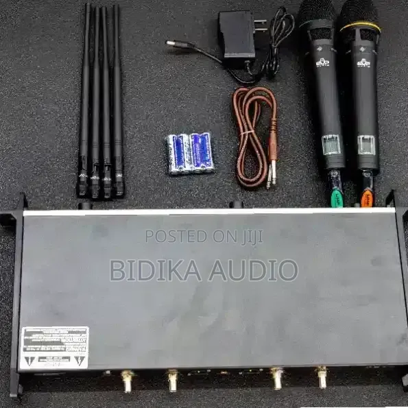 EVP EWG4-2 Professional Wireless Microphone System - 1