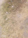 Eka 1 ya Ardhi Mtaa wa Mombasa Karibu na Kanisa la Mavuno - 1