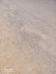 Eka 1 ya Ardhi Mtaa wa Mombasa Karibu na Kanisa la Mavuno - 2