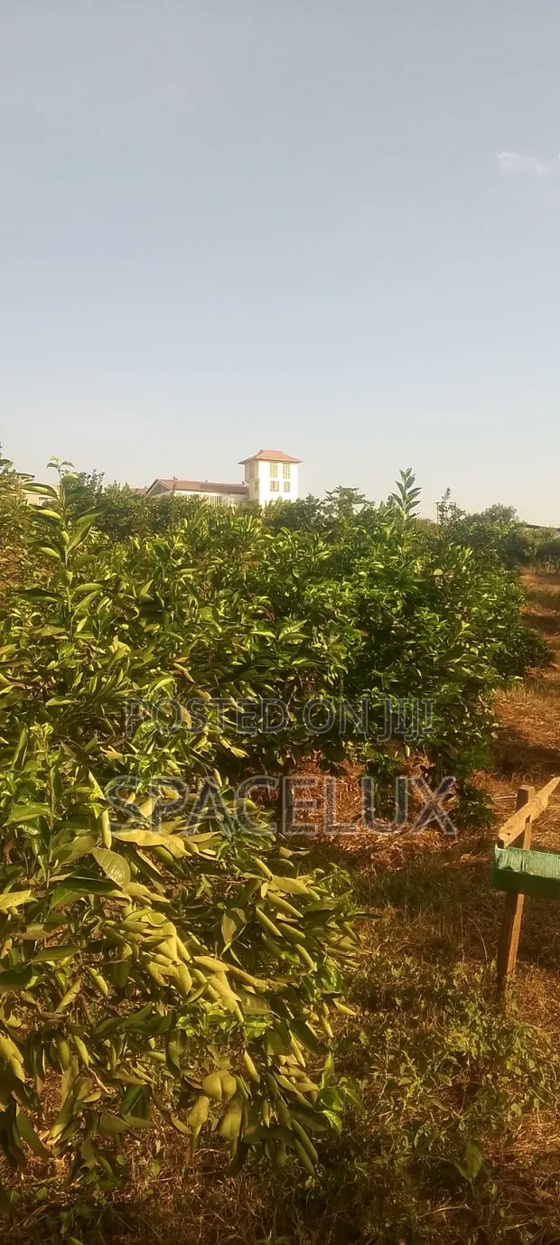Thika 4.25 Acres Mixed-Use Land - 1