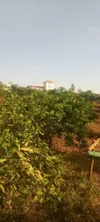 Thika 4.25 Acres Mixed-Use Land - 1