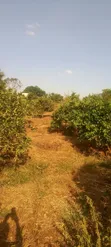 Thika 4.25 Acres Mixed-Use Land - 2