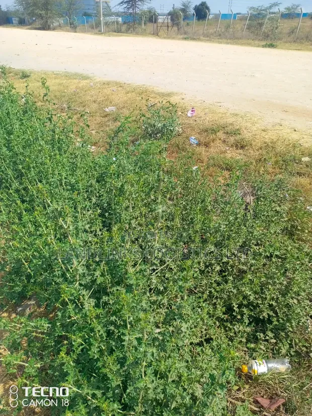 Residential Plot for Sale - Sabaki, Off Mombasa Road (100x100 / 1/4 Acre) - 1