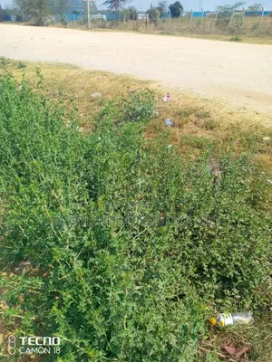 Residential Plot for Sale - Sabaki, Off Mombasa Road (100x100 / 1/4 Acre)