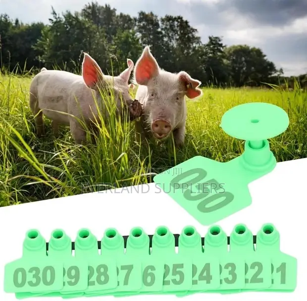 Small Ear Tags for Laser Marking - Numbered - 1