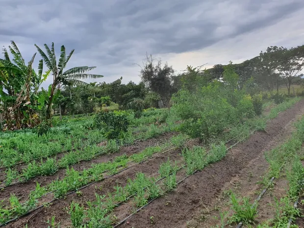 Kitengela Koropoi Area 5 Acres 10kms Off Namanga Rd - 1