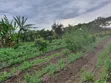 Kitengela Koropoi Area 5 Acres 10kms Off Namanga Rd - 1
