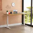 Electric Height Adjustable Standing Desk 1200MM - 1