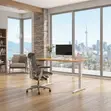 Electric Height Adjustable Standing Desk 1200MM - 4