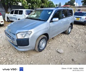 Toyota Probox DX 2014 Silver