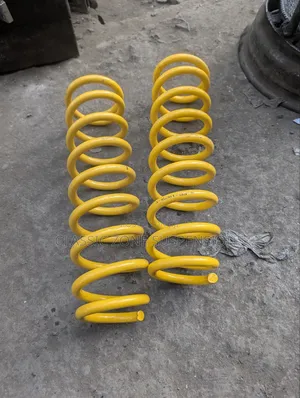 Toyota Land Cruiser 79 Series Coil Springs - Brand New