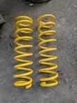 Toyota Land Cruiser 79 Series Coil Springs - Brand New - 5