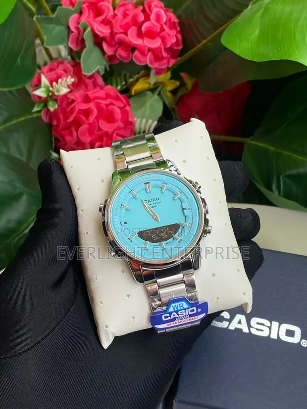 Casio World Time Dual Time Watch - 1