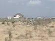 50x100 Plot for Sale - Juja Farm Stima Investment - 1