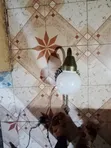 Custom Made Security Wall Light - Water Resistant - 2