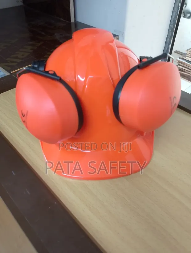Industrial Helmets with Earmuffs - 1