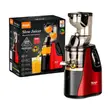 Easy Cleaning RAF R.2831 400ml Slow Juicer - 1