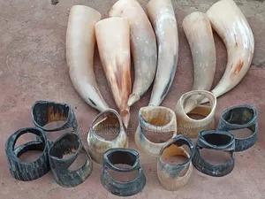 Natural Cow Horn Crafts for Drinking or Decor