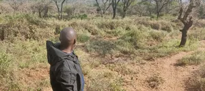 515 Acres for Sale at Bisil
