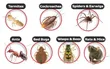 Mombasa Nyali Pest Control Services - 1