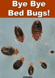 Mombasa Nyali Pest Control Services - 2