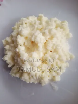 Mbegu za Kefir Moja kwa Afya ya Utumbo
