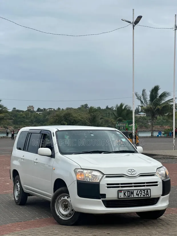 Toyota Probox 1.3 GL 2WD 2016 White - 1